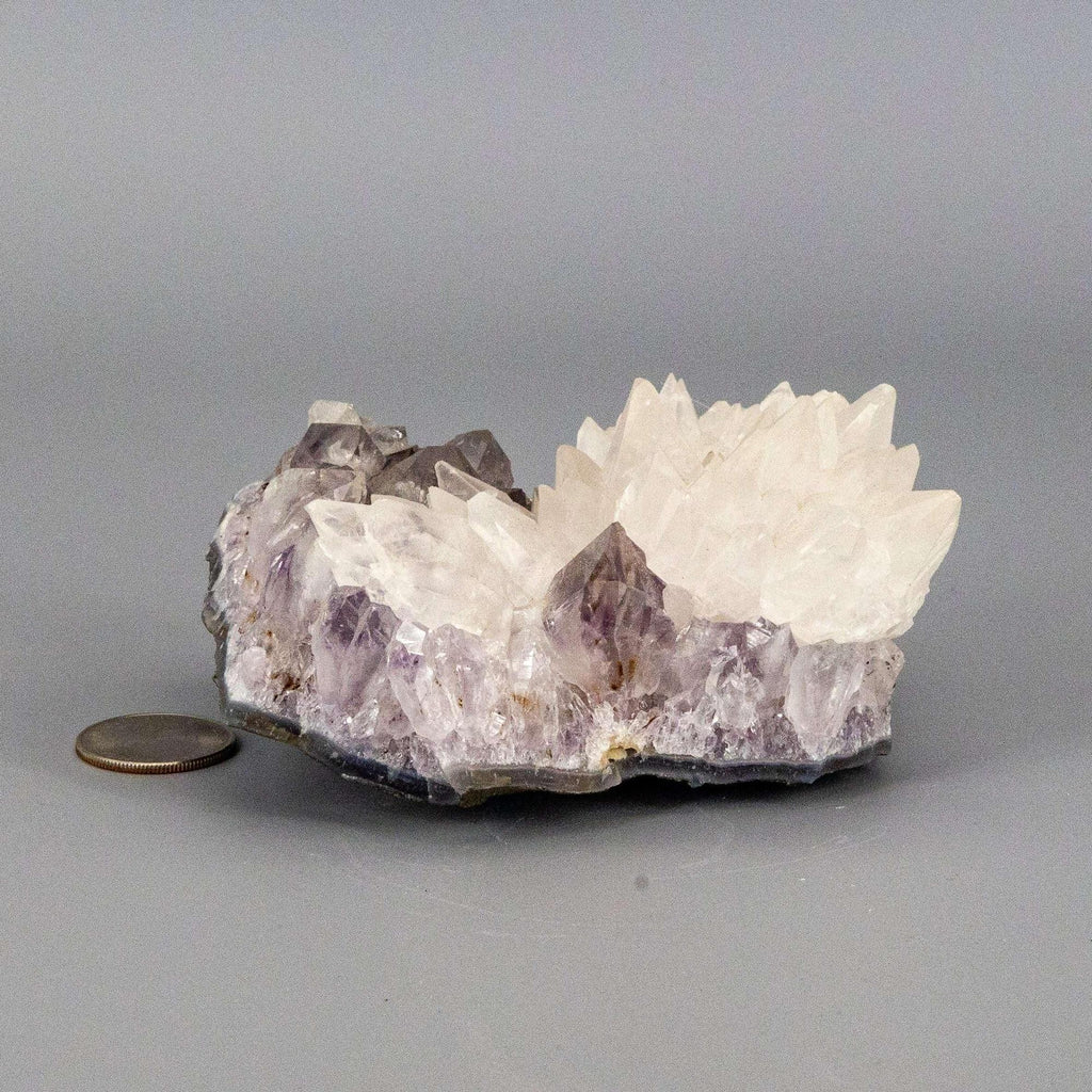 Dogtooth Calcite "Flower" Amethyst Cluster