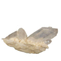 Large Quartz Point Cluster